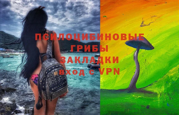 твердый Арсеньев