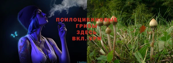 метамфетамин Армянск