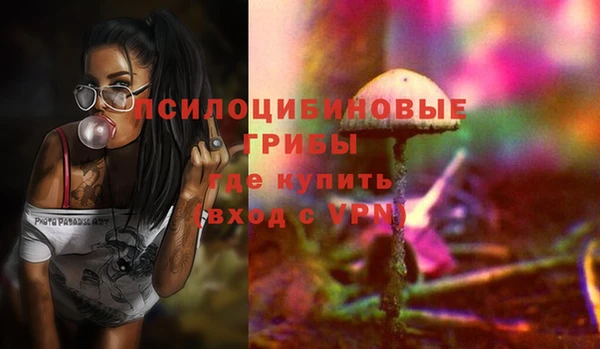 твердый Арсеньев