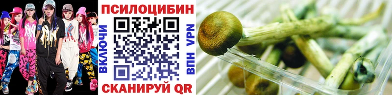 Псилоцибиновые грибы мухоморы  даркнет какой сайт  Малмыж  купить наркоту 